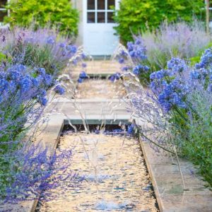 Garden Ideas, Landscaping ideas, Agapanthus africanus, Lily of the Nile, Perovskia atriplicifolia, Russian Sage, Angel Fishing Rod, Dierama pulcherrimum, Blue Flowers
