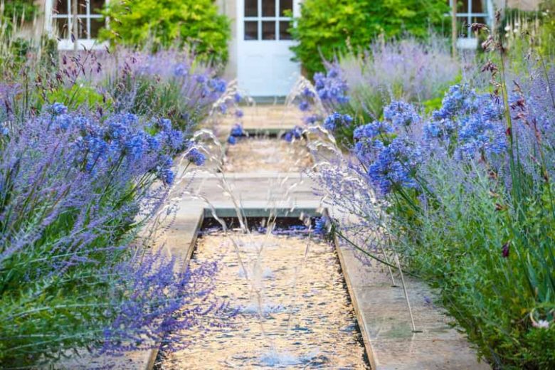 Garden Ideas, Landscaping ideas, Agapanthus africanus, Lily of the Nile, Perovskia atriplicifolia, Russian Sage, Angel Fishing Rod, Dierama pulcherrimum, Blue Flowers