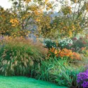 Garden ideas, Border ideas, Plant Combinations, Flowerbeds Ideas, Summer Borders, Fall borders, Asters, Miscanthus, Japanese Silver Grass, Monkshood, Aconitum, Helenium, Kniphofia, Red Torch Lily