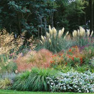 Garden ideas, Border ideas, Plant Combinations, Flowerbeds Ideas, Summer Borders, Fall borders, Cortaderia sellanoa, Stipa gigantea, Helenium, Verbena bonariensis, Echinacea purpurea, Stachys byzantina Hakonechloa macra, Carex oshimensis, Asters frikartii