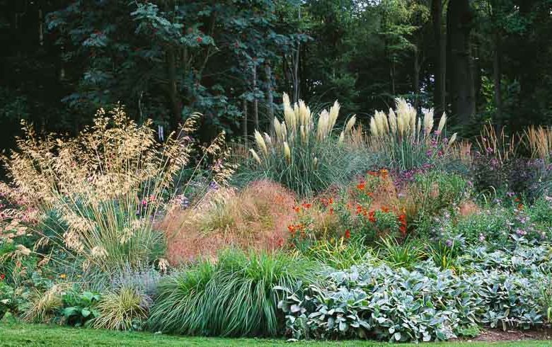 Garden ideas, Border ideas, Plant Combinations, Flowerbeds Ideas, Summer Borders, Fall borders, Cortaderia sellanoa, Stipa gigantea, Helenium, Verbena bonariensis, Echinacea purpurea, Stachys byzantina Hakonechloa macra, Carex oshimensis, Asters frikartii