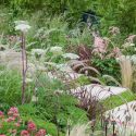 Garden Ideas, Border ideas, Perennial Planting, Perennial combination, Summer Borders, Fall Borders, Sanguisorba Tenuifolia, Astilbe, Pennisetum Rubrum, Centranthus ruber, Valerian, Milk Parsley, Burnet,