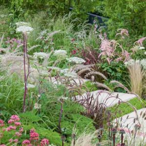Garden Ideas, Border ideas, Perennial Planting, Perennial combination, Summer Borders, Fall Borders, Sanguisorba Tenuifolia, Astilbe, Pennisetum Rubrum, Centranthus ruber, Valerian, Milk Parsley, Burnet,
