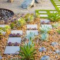 Garden Ideas, Landscaping Ideas, Small Garden, Small Backyard, Small Space, Studio H landscape,succulent garden, drought tolerant garden, waterwise garden, Zen garden, Mediterranean garden, echeveria, aeonium, yucca bright star