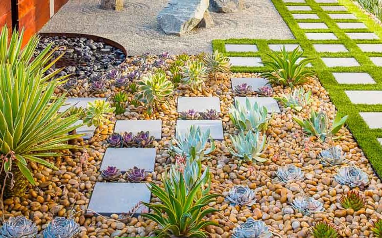 Garden Ideas, Landscaping Ideas, Small Garden, Small Backyard, Small Space, Studio H landscape,succulent garden, drought tolerant garden, waterwise garden, Zen garden, Mediterranean garden, echeveria, aeonium, yucca bright star