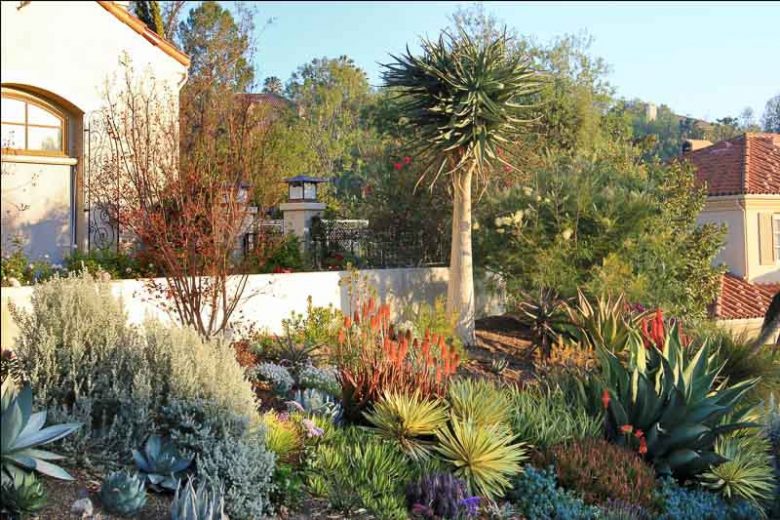 Garden ideas, Mediterranean plants, Water wise garden, Low maintenance garden, Agave desmettiana 'Joe Hoak', Aloe, Yucca ‘Bright star, Agave ovatifolia, Aloe striata
