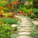 Garden Ideas, Landscaping Ideas, succulent garden, Mediterranean garden, drought tolerant plant, Linda Besler, Senecio mandraliscae, Senecio talinodes, Agave attenuata, Aeonium Sunburst,Aeonium ‘Zwarktop', Aloe nobilis, Aloe vera, Euphorbia Sticks on Fire, Crassula ‘Campfire’,Callistemon citrons ‘Little John’?