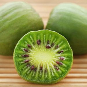 Actinidia arguta 'Issai', Hardy Kiwi Vine 'Issai', Bower Actinidia 'Issai', Hardy Kiwi 'Issai', Tara Vine 'Issai', Yang Tao 'Issai', Kiwifruit, Kiwi Fruits, Vines, Climbers, Kiwi Vine