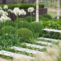 Garden Ideas, Border ideas, Perennial Planting, Perennial combination, Spring Borders, Summer Borders, Shade gardens,  Fern, Hosta, Betula utilis, Birch Tree, Himalayan Birch, Agapanthus, Lily of the Nile