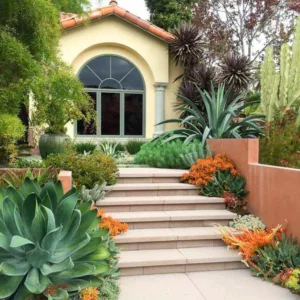 Garden Ideas, Landscaping Ideas, Coastal plant, Seaside plant, drought tolerant plant, Amelia B Lima, Agave 'Blue Flame', Aloe striata, Crassula capitella,Echeveria harmsii, Echeveria prolifica, Senecio vitalis, kalanchoe luciae,Sedum nussbaumerian