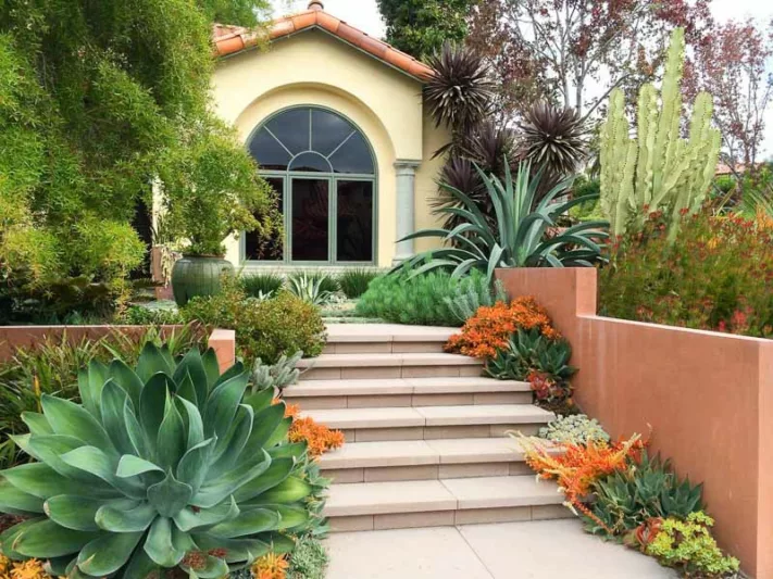 Garden Ideas, Landscaping Ideas, Coastal plant, Seaside plant, drought tolerant plant, Amelia B Lima, Agave 'Blue Flame', Aloe striata, Crassula capitella,Echeveria harmsii, Echeveria prolifica, Senecio vitalis, kalanchoe luciae,Sedum nussbaumerian
