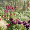 Plant Combinations, Flowerbeds Ideas, Spring Borders, Summer Borders, Allium , Stipa tenuissima, Gladiolus communis, Eryngium bourgatii, Sword-lilies