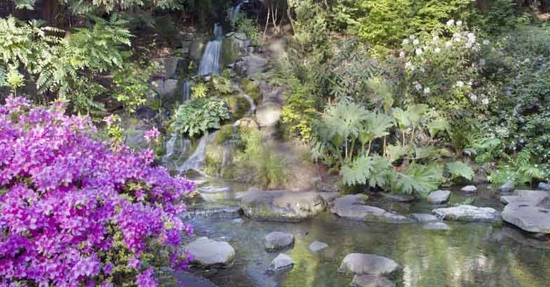 Small Azaleas, Small Rhododendrons, Small Deciduous Azaleas, Small Evergreen Azaleas, Rock Gardens