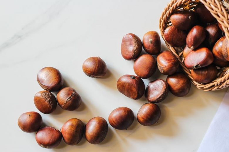 Castanea mollissima, Chinese Chestnut, White Flowers, Chestnut