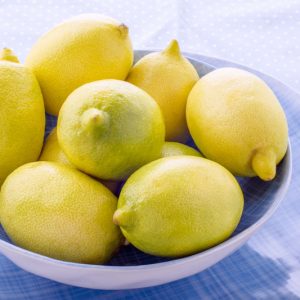 Citrus x limon 'Eureka', Lemon 'Eureka', Lemon 'Garey's Eureka', Citrus × limon 'Four Seasons', Citrus × limon 'Quatre Saisons', Citrus × limon 'Garey's Eureka'