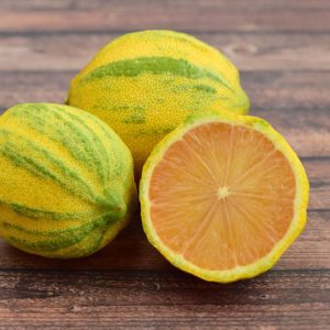 Citrus x limon 'Eureka Pink Variegated', Lemon 'Eureka Pink Variegated', Eureka Pink Variegated Lemon