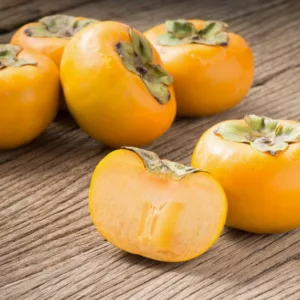 Diospyros virginiana, American Persimmon, American Date Plum, Possum Wood, Virginian Date Plum, Common Persimmon, Eastern Persimmon, Winter Plum, Jove's Fruit