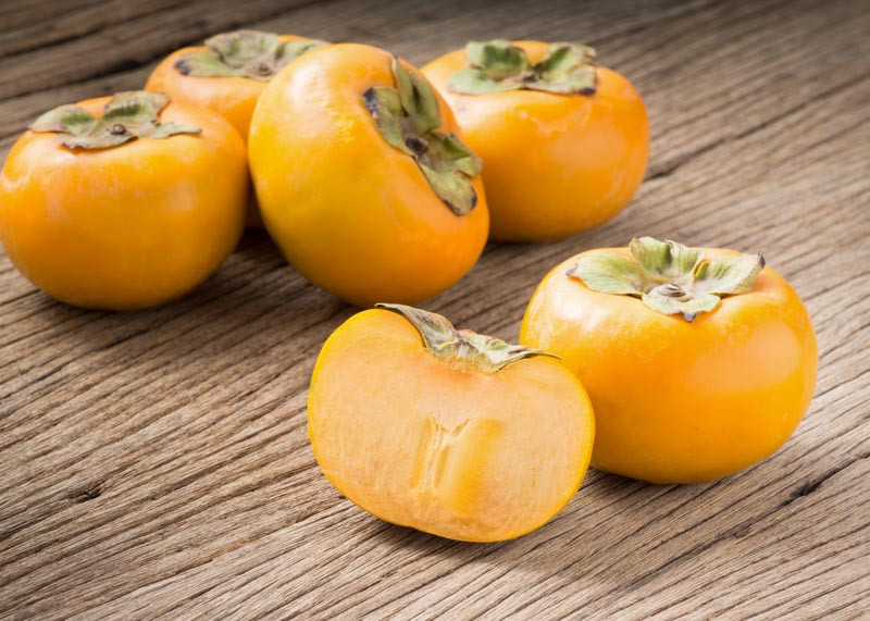 Diospyros virginiana, American Persimmon, American Date Plum, Possum Wood, Virginian Date Plum, Common Persimmon, Eastern Persimmon, Winter Plum, Jove's Fruit