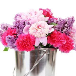 Bloom Peonies season, Early MidseasonPeonies, Midseason Peonies, Late Peonies, Peonies Bloom Times