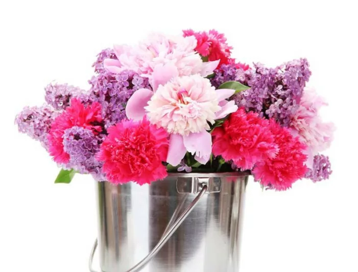 Bloom Peonies season, Early MidseasonPeonies, Midseason Peonies, Late Peonies, Peonies Bloom Times