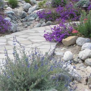 Jean Marsh Design Inc