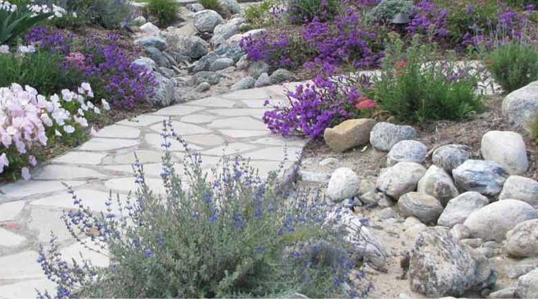 Jean Marsh Design Inc