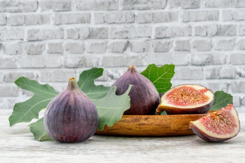 Ficus carica 'Brown Turkey', Fig 'Brown Turkey', Brown Turkey Fig, Figs, Fruit Trees