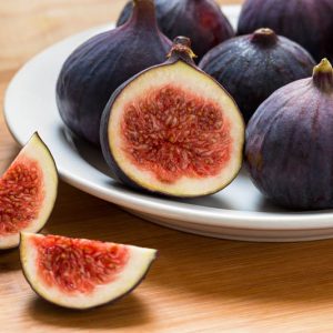 Ficus carica 'Chicago Hardy', Fig 'Chicago Hardy', Chicago Hardy Fig, Figs, Fruit Trees