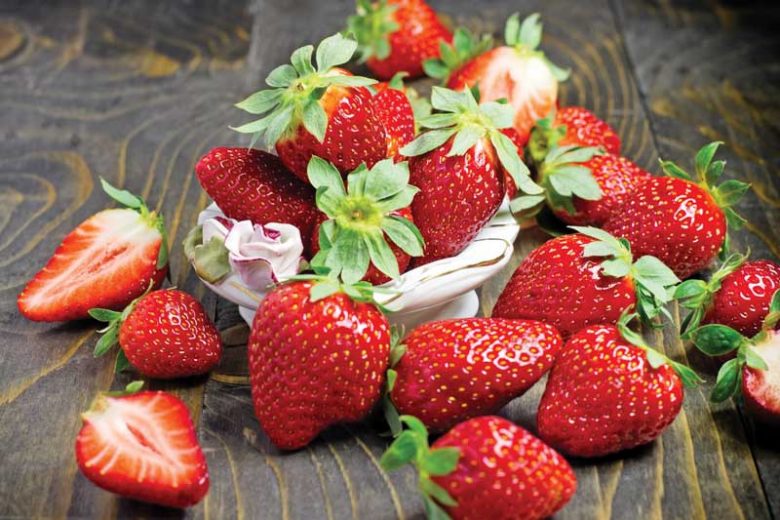 Fragaria Fort Laramie, Everbearing Strawberry 'Fort Laramie', Strawberry 'Fort Laramie', evergreen shrub, Strawberries, Red Fruit, White flowers