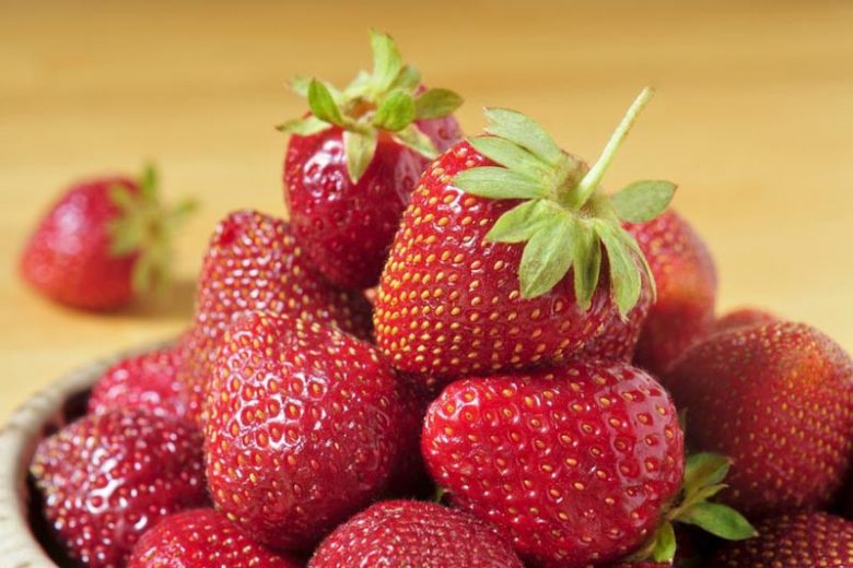 Fragaria × ananassa 'Jewel', Junebearing Strawberry 'Jewel', Strawberry 'Jewel', evergreen shrub, Strawberries, Red Fruit, White flowers