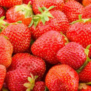 Fragaria x ananassa 'Seascape', Everbearing Strawberry 'Seascape', Strawberry 'Seascape', evergreen shrub, Strawberries, Red Fruit, White flowers