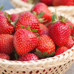 Fragaria x ananassa 'Tristar', Everbearing Strawberry 'Tristar', Strawberry 'Tristar', evergreen shrub, Strawberries, Red Fruit, White flowers