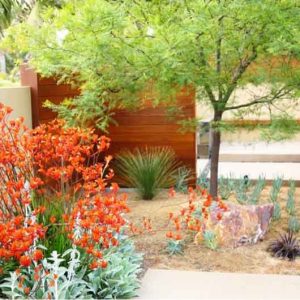 Debora Carl Landscape Design