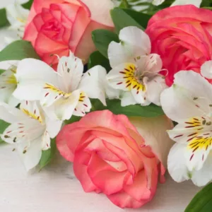 Underplanting roses, Best David Austin Roses, Best roses for borders, Rose borders, Shrub Roses, Rose companion plants, companion planting