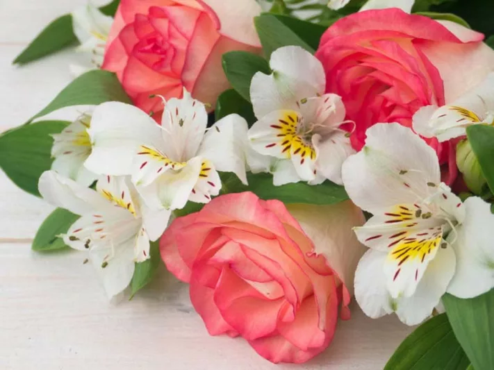 Underplanting roses, Best David Austin Roses, Best roses for borders, Rose borders, Shrub Roses, Rose companion plants, companion planting