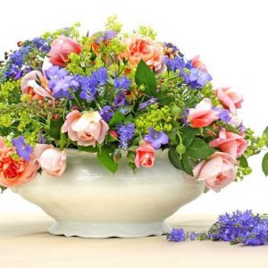 Underplanting roses, Best David Austin Roses, Best roses for borders, Rose borders, Shrub Roses, Rose companion plants, companion planting