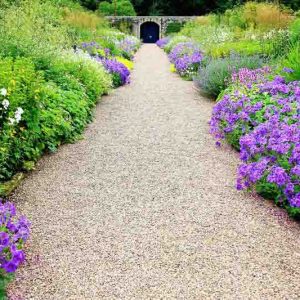 Hardy geranium, hardy geraniums, Best Hardy Geraniums, Great Hardy Geraniums, Cranesbill,  Best cranesbills, Long blooming geraniums, non stop blooming geraniums