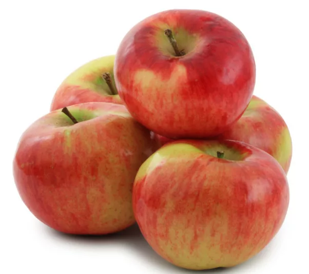 Malus domestica 'Cortland', Apple 'Cortland', Cortland Apple, Malus 'Cortland', Red Apple, White flowers,
