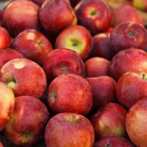 Malus domestica 'Empire', Apple 'Empire', Empire Apple, Malus 'Empire', Red Apple, White flowers,