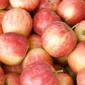 Malus domestica 'Fuji', Apple 'Fuji', Fuji Apple, Malus 'Fuji', Red Apple, White flowers,