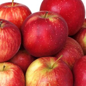 Malus domestica 'Haralson', Apple 'Haralson', Haralson Apple, Malus 'Haralson', Red Apple, White flowers,