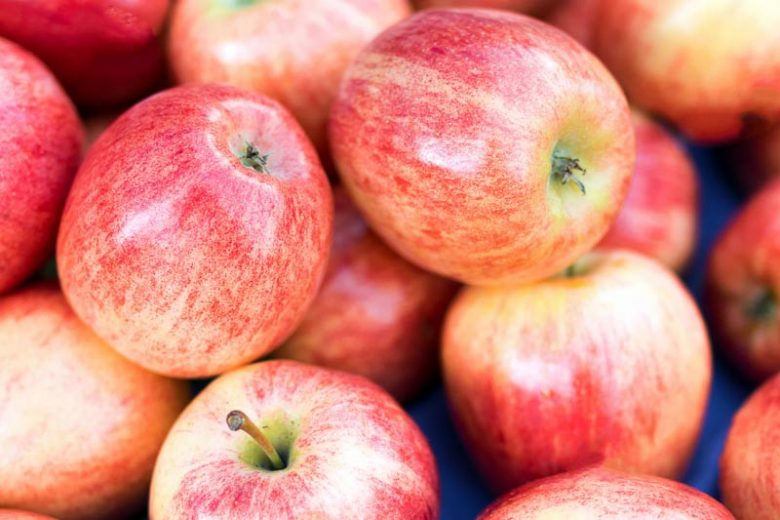 Malus domestica 'Pink Lady', Apple 'Pink Lady', Pink Lady Apple, Malus 'Pink Lady', Red Apple, White flowers,