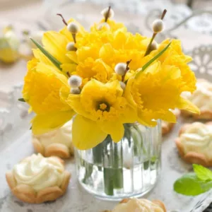 Most Fragrant Daffodils, Fragrant Daffodils, Fragrant Narcissus, Fragrant Bulbs, Fragrant Spring Bulbs., Best Daffodils, Best Narcissus, Naturalizing Bulbs, perennial Bulbs