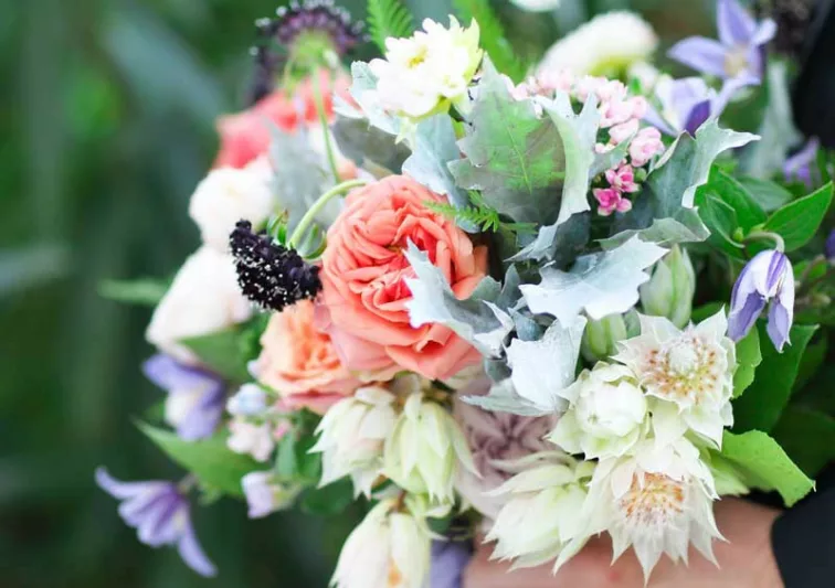 Combining Roses and Clematis, Mixing clematis and roses, Growing clematis and roses, Clematis and Roses Combinations, Best Climbing Roses, Best Clematis, Planting Roses and Clematis, Pruning Roses and Clematis