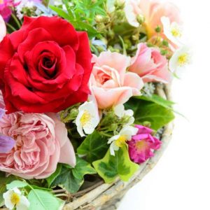 Combining Roses and Clematis, Mixing clematis and roses, Growing clematis and roses, Clematis and Roses Combinations, Best Climbing Roses, Best Clematis, Planting Roses and Clematis, Pruning Roses and Clematis