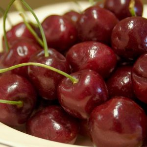 Prunus avium 'Bing', Sweet Cherry 'Bing', Bing Sweet Cherry, White flowers, Spring Flowers, Cherry tree, Cherries, Red Cherries, Fruit tree