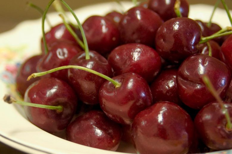 Prunus avium 'Bing', Sweet Cherry 'Bing', Bing Sweet Cherry, White flowers, Spring Flowers, Cherry tree, Cherries, Red Cherries, Fruit tree