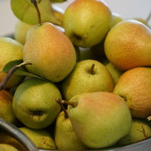 Pyrus communis 'Kieffer', Pear 'Kieffer', Kieffer  Pear, Pyrus 'Kieffer', European Pear, Common Pear, Wild Pear, Choke, Yellow Pear, White Flowers