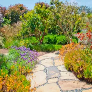 Sage Ecological Landscapes