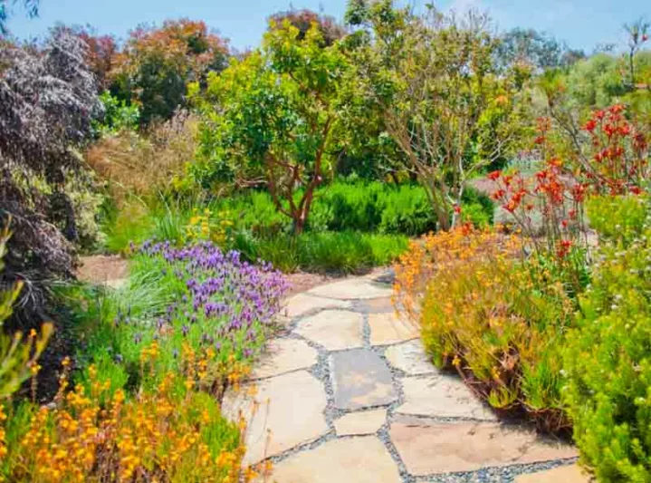 Sage Ecological Landscapes